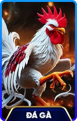 78WIN ⚽️ Trang Chủ 78WIN.COM 2026 | Link Đăng Ký +689k T/4 3 da ga 78win school